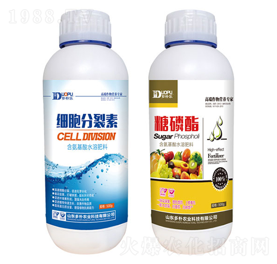 ��(x��)��������+������-�����Ƽ�