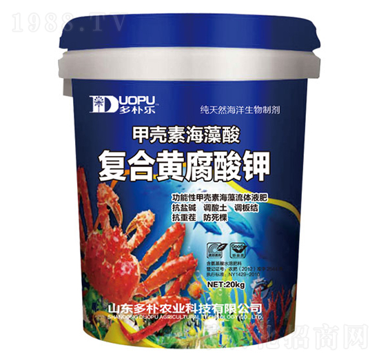 �ͺ��S�����-�����Ƽ�