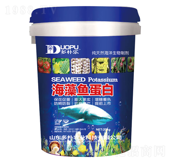 �����~����-�����Ƽ�