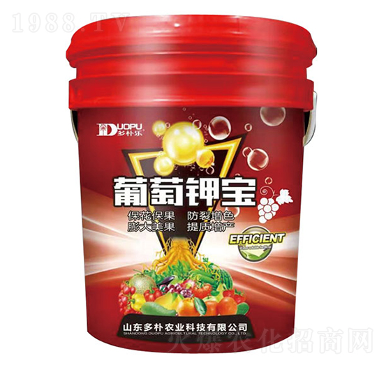 ����⛌�-���㘷-�����Ƽ�