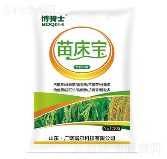 �紲��-���Tʿ-�����Ƽ�