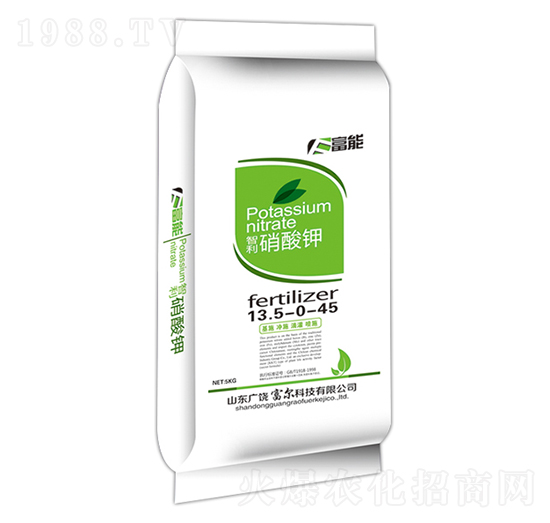 ���������-����-�����Ƽ�