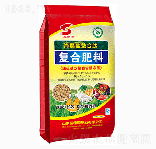 �����������ďͺϷ���16-13-16-ʥ��Դ