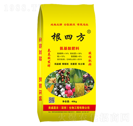 ���������-���ķ�-��ʢ�μ�