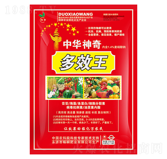 ��Ч��-��˲