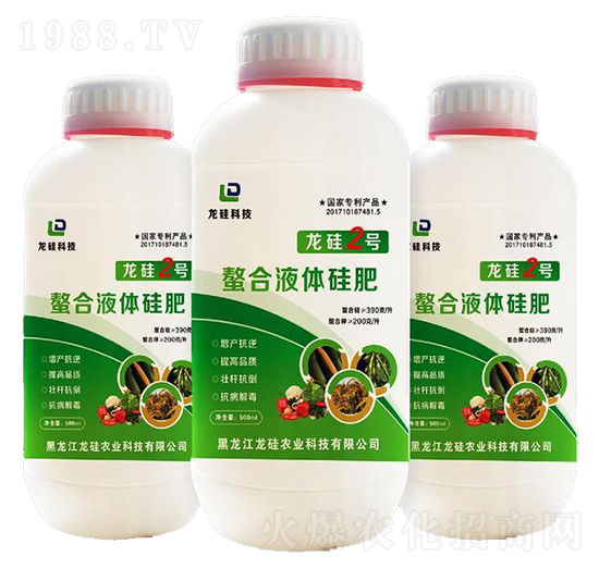 ����Һ�w���-����2̖-����