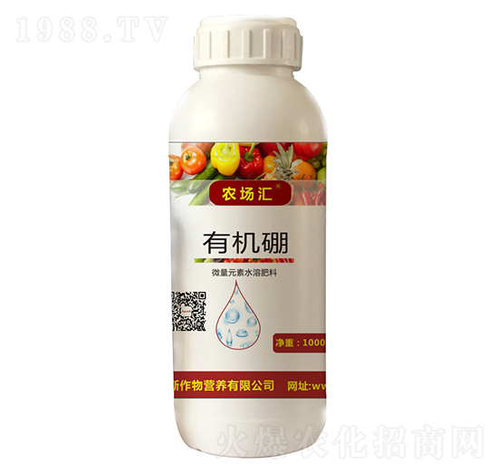 �ЙC(j��)��-�r(n��ng)��(ch��ng)�R-������˹