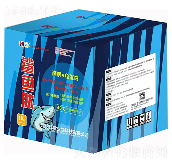 ø�⡤�~����-���~��-��������