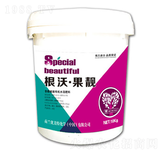 ����-���n-��(y��u)����-����r�I(y��)