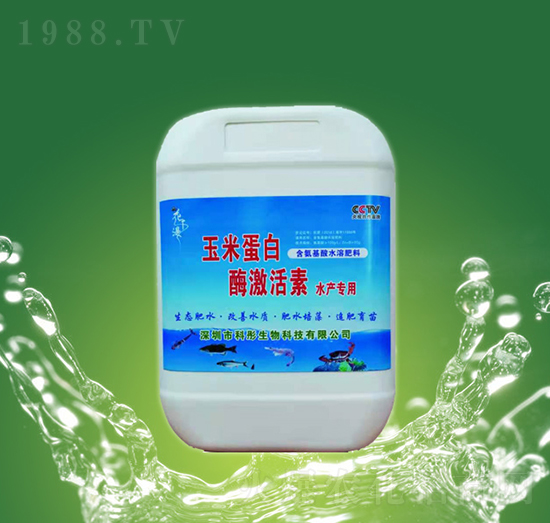 ���׵���ø������-��ͮ����