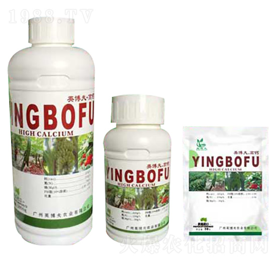 Ӣ������} Ӣ����