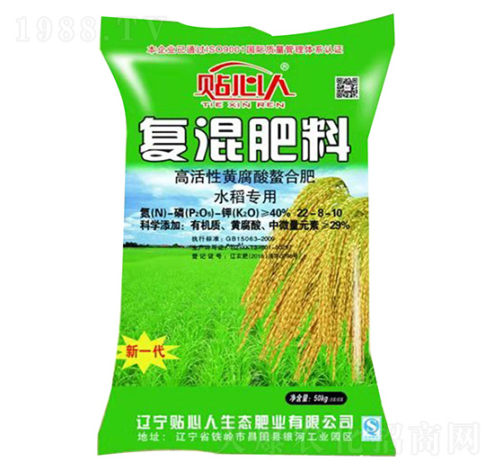 ��(f��)�����22-8-10 �N����