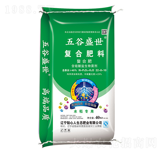 �ͺϷ���22-8-10-���ʢ��-�N����