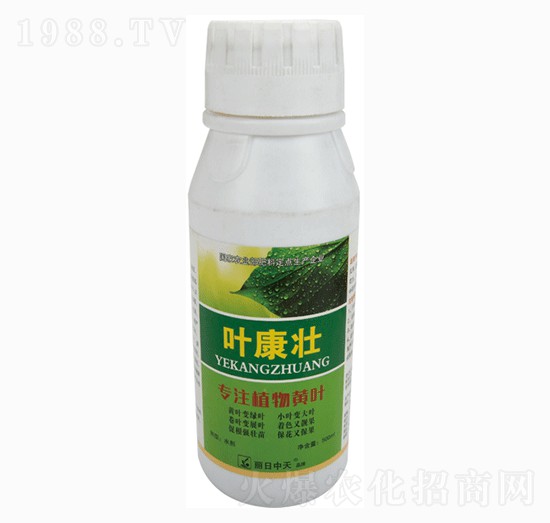 葉康壯-中天肥業(yè)