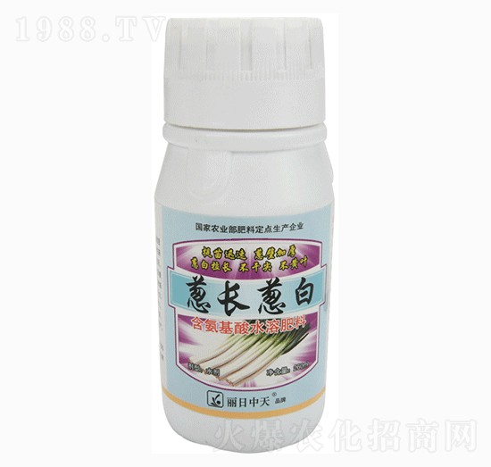 蔥長蔥白-中天肥業(yè)