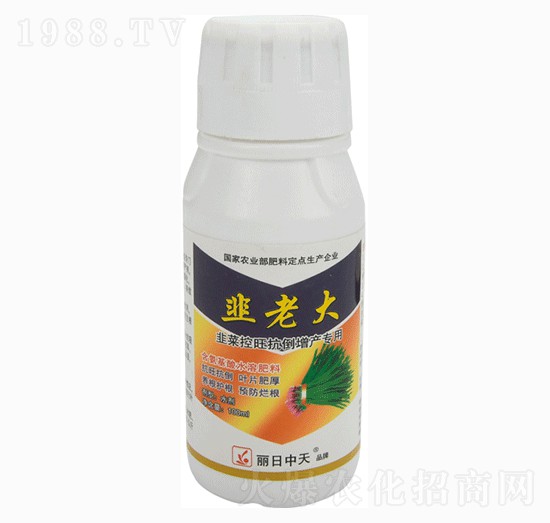 韭菜控旺抗倒增產專用-韭老大-中天肥業(yè)