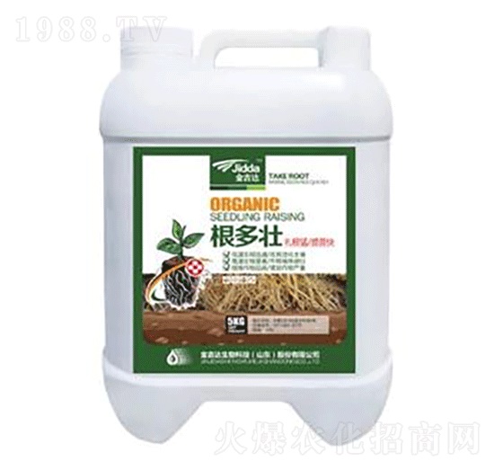 ������-���_(d��)