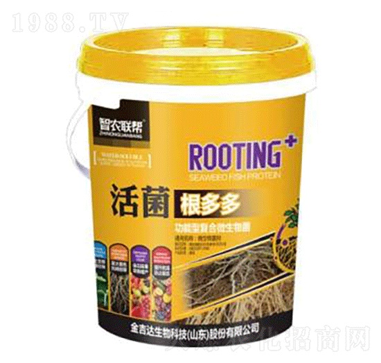 ��������-���_(d��)