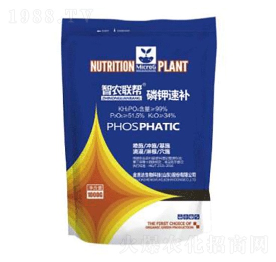 ������a(b��)-���_(d��)