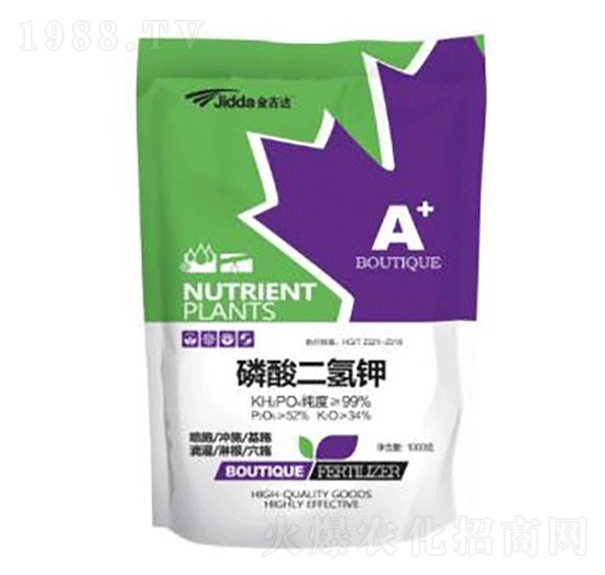 1000g��������-���_(d��)