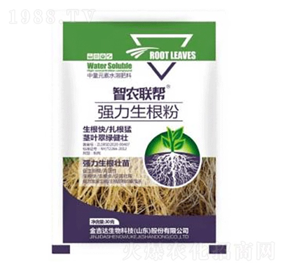 ������-���_(d��)