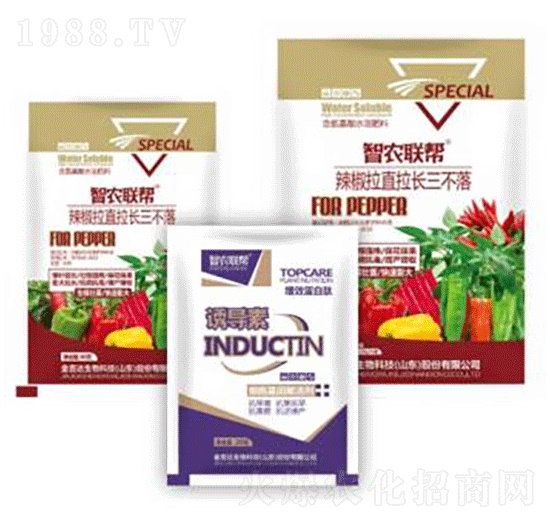 ������ֱ���L������-���_