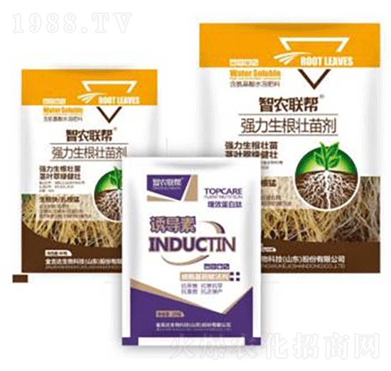 �������焩-���_