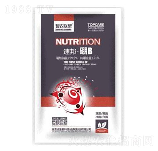 �ٰ�-��B(y��ng)-���_