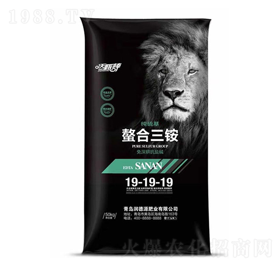 ������������@19-19-19-�����-����Դ�ʘI(y��)