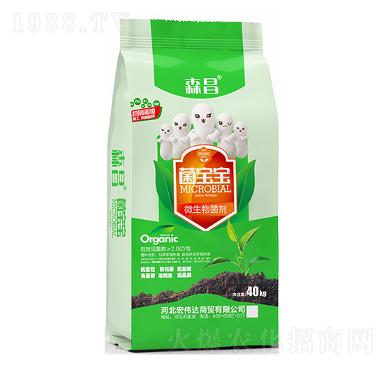 ΢�������-������-ɭ��-�ꂥ�_