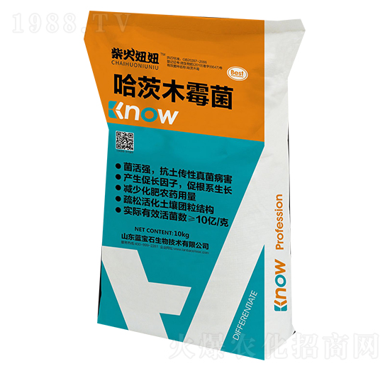 ����ľù��-�����-�{��ʯ