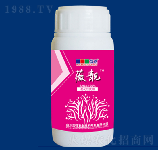 ޱ�n�K�o�-�{(l��n)��r(n��ng)�I(y��)