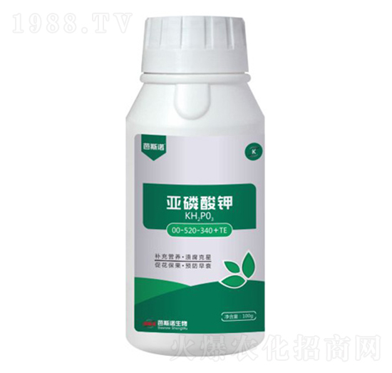 �������-��˹�Z