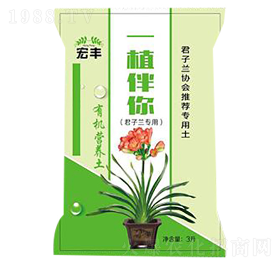 �����m���ü�ͥ�@ˇ�ЙC(j��)�I(y��ng)�B(y��ng)��-һֲ����-���S