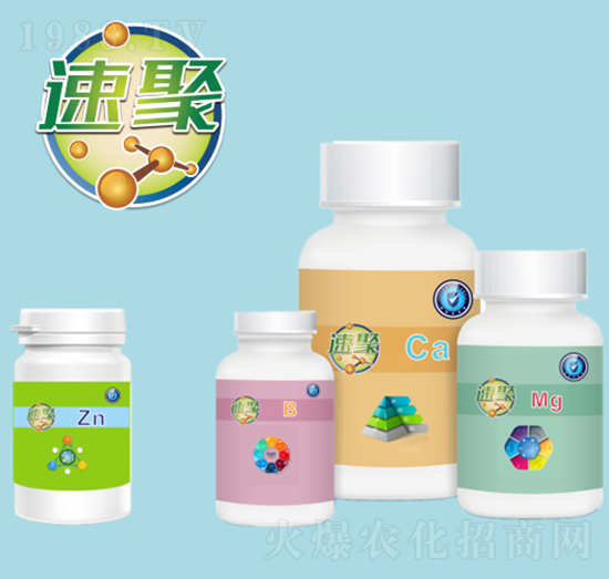 �پ�-��������