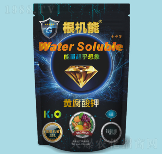 �S�����-���C��-��������