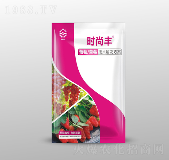 葡萄草莓技術(shù)解決方案-時(shí)尚豐-圣勤農(nóng)業(yè)