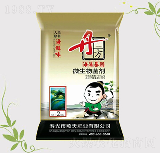 ΢�������-�������-����-����ʘI(y��)