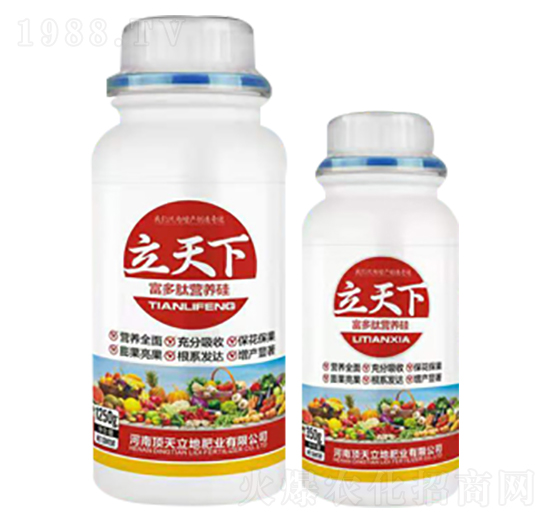 �����ĠI�B(y��ng)��-������-�������