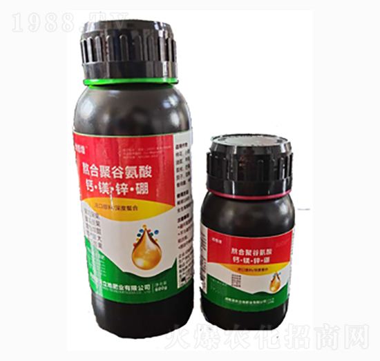 ���Ͼ۹Ȱ���-�ر���-�������