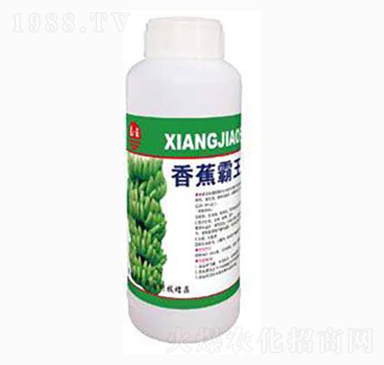 香蕉霸王-泰玉肥業(yè)