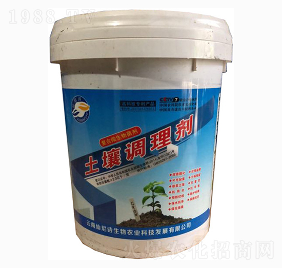 �����{�턩-����Ԋ