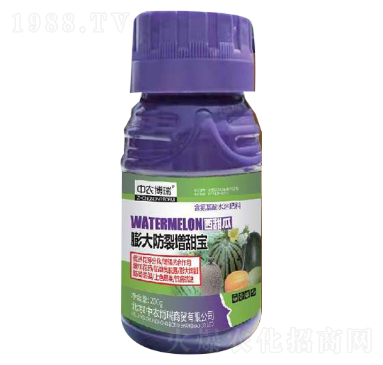 ������������-���|�S