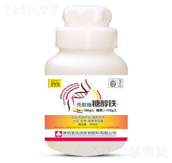 �������Ǵ��F-ʥ�ϝ�