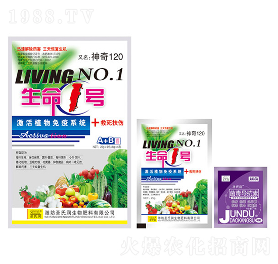 ����1̖(h��o)A+B-ʥ�ϝ�