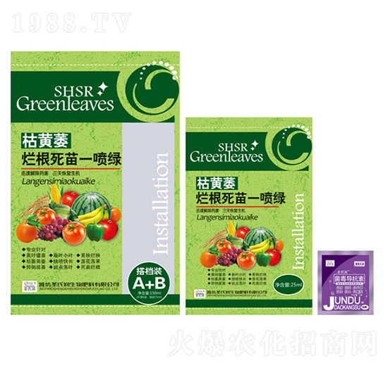 ���Sή��������һ���G-ʥ�ϝ�(r��n)