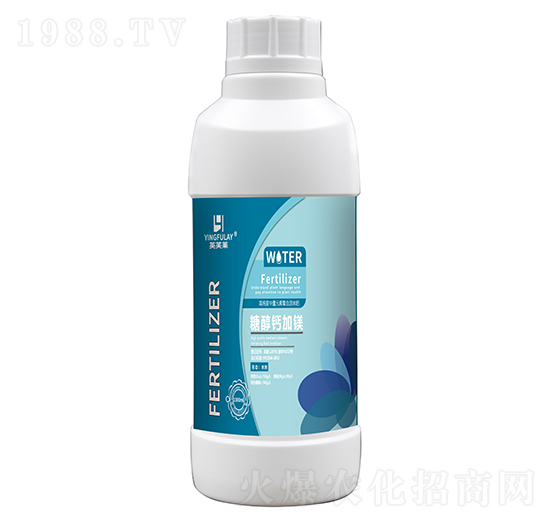 �Ǵ��}���V-Ӣܽ�R-���A����