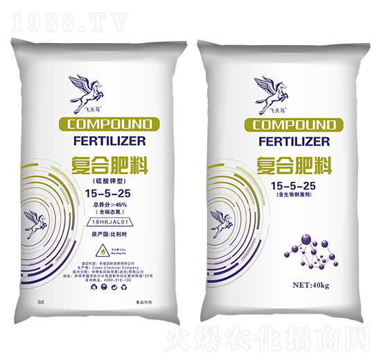 ������͏ͺϷ���15-5-25-�w���R-����}