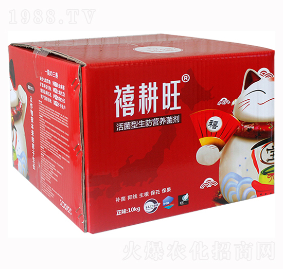 ����������I(y��ng)�B(y��ng)����-������-���r(n��ng)�A��