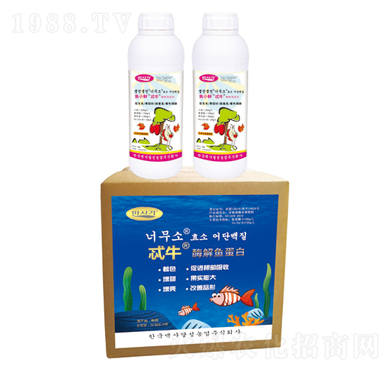 ø���~����-߯ţ-�A��